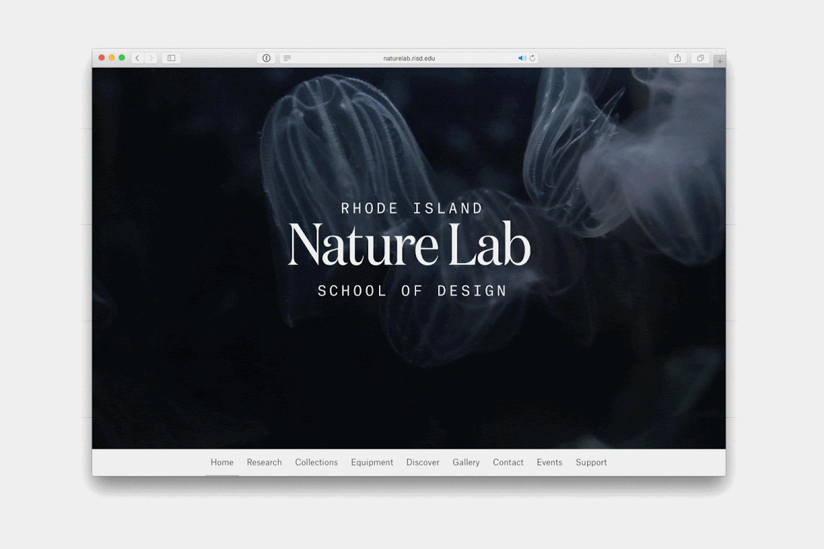 RISD Nature Lab Website overview